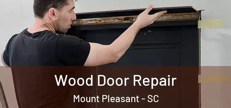  Wood Door Repair Mount Pleasant - SC
